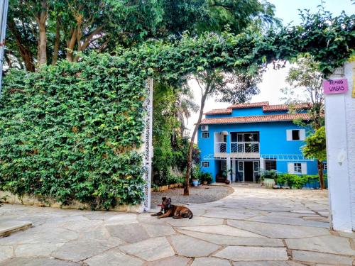 a dog laying on the ground in front of a blue house at Pousada Bougainville in Pirenópolis