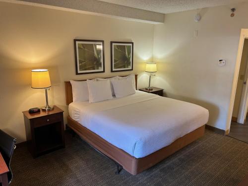 a hotel room with a large bed and two lamps at Baymont by Wyndham Orlando South in Orlando