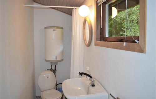 ジルレジェにあるLovely Home In Gilleleje With Kitchenのバスルーム(トイレ、洗面台付)、窓が備わります。