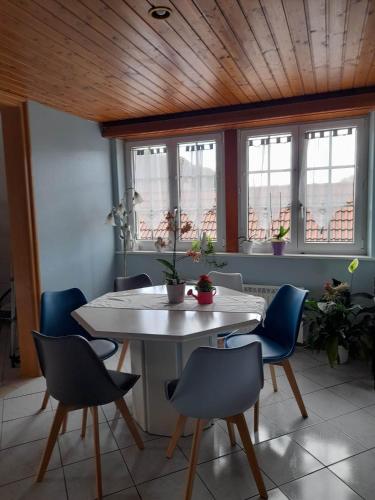einen Tisch und Stühle in einem Zimmer mit Fenstern in der Unterkunft Gîte Le Jardin de Hermolsheim. Alsace très spacieux in Mutzig