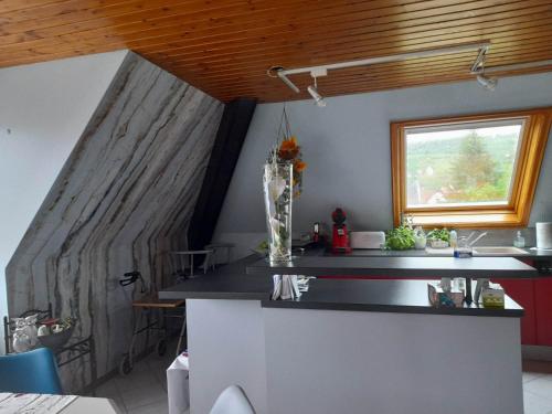 uma cozinha com um balcão e uma janela em Gîte Le Jardin de Hermolsheim. Alsace très spacieux em Mutzig