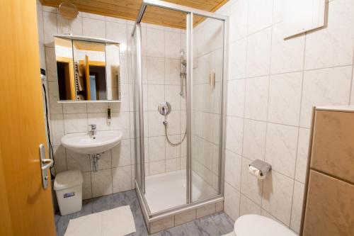 a bathroom with a shower and a toilet and a sink at Appartementhaus Untere Tanne in Lermoos