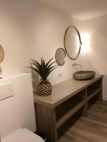 a bathroom with a sink and a mirror at Landhuys Odette in Retie