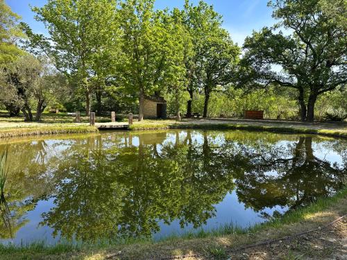 a pond in a park with trees in the background at BASTIDE DU DEFENDS in Pertuis