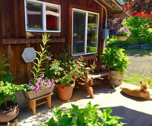 Gallery image of Bond Ranch Retreat in Sequim