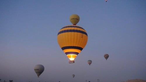 a group of hot air balloons in the sky at Karnak flat in Luxor