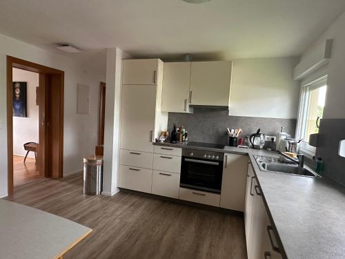 Dapur atau dapur kecil di Ferienappartment mit Homeoffice, 2 Schlafzimmer mit Einzelbetten