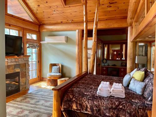 Schlafzimmer mit einem Bett, einem TV und einem Kamin in der Unterkunft Cayuga Lodge South in Cooperstown