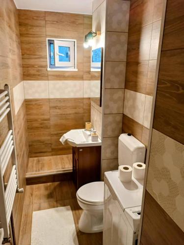 a small bathroom with a toilet and a sink at Lend City Apartment in Miercurea-Ciuc