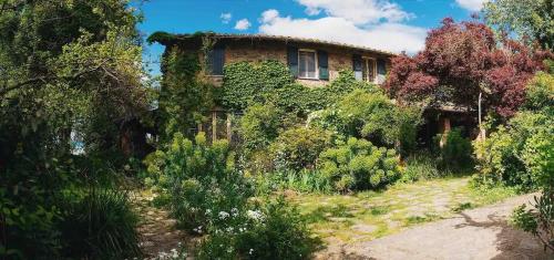 an old house with ivy on the side of it at Il Giardorto in Casalini