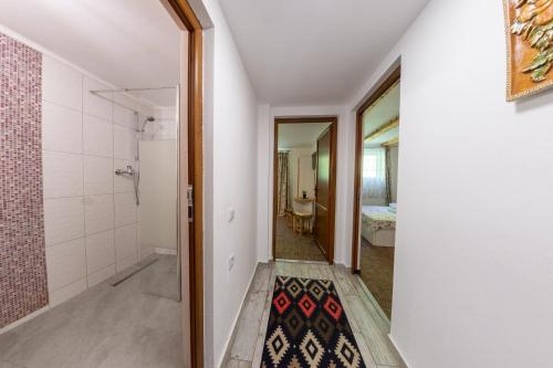 bagno con doccia e cabina doccia di Vila Rustica a Moieciu de Sus