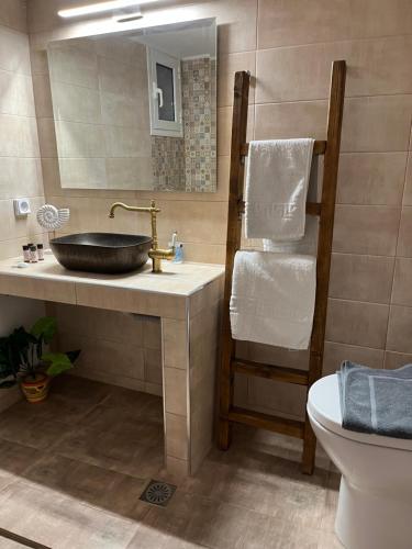 a bathroom with a sink and a toilet at Kokkala Guestrooms in Kokkala