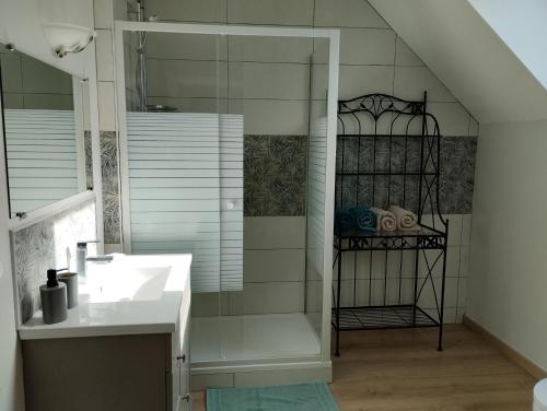 La salle de bains est pourvue d'une douche, d'un lavabo et d'un miroir. dans l'établissement Au cocon Chapellois, à La Chapelle-Saint-Mesmin