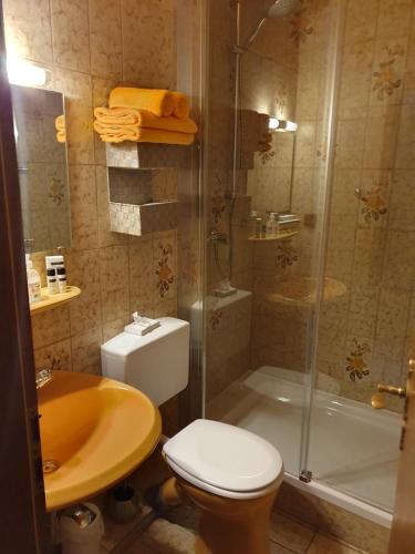 a bathroom with a shower and a toilet and a sink at Haus Drei Seen in Walkenried