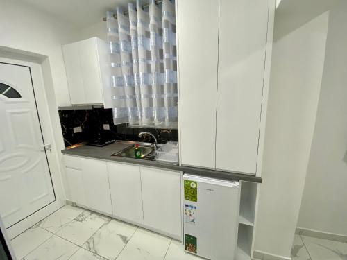 Η κουζίνα ή μικρή κουζίνα στο Apartmente Pamela