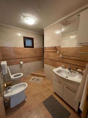 ein Bad mit einem WC und einem Waschbecken in der Unterkunft Apartmani Suza in Selca