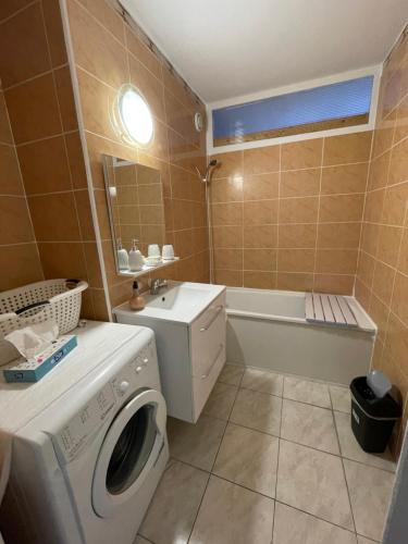 ein Badezimmer mit einer Waschmaschine und einer Waschmaschine in der Unterkunft Grand appartement Annemasse in Annemasse