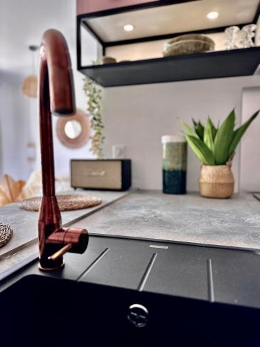 - un évier de cuisine avec un robinet sur un comptoir dans l'établissement Appartement Agosta Plage, à Porticcio