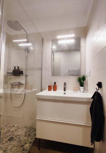 une salle de bain avec un lavabo et une douche avec un miroir dans l'établissement Le Terra Cotta - proche Hyper centre, à Montauban