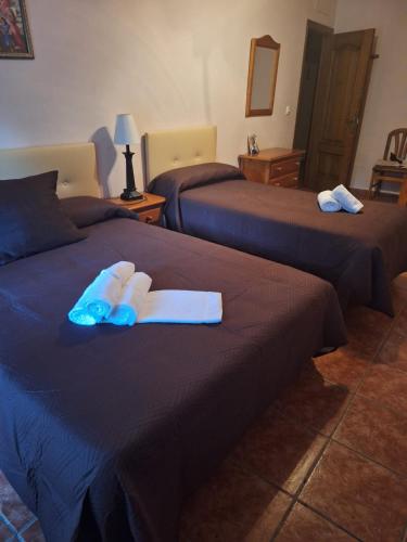 a hotel room with two beds with towels on them at VILLA EL SALADO -ALQUILER RURAL ISABEL in Arriate