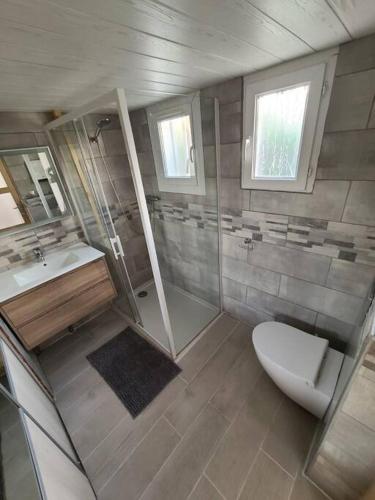 une salle de bain avec toilettes, douche et lavabo dans l'établissement Maison pleine de charme avec grand jacuzzi privé, au Cap d'Agde