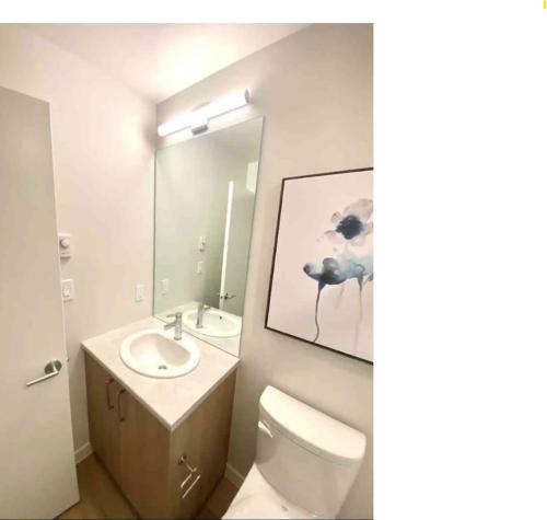 a bathroom with a toilet and a sink and a mirror at Perfect Brand New Studio Downtown Sidney in Sidney