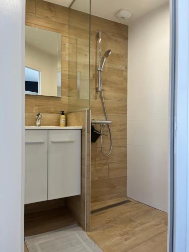 une salle de bain avec douche et lavabo dans l'établissement Appart43m² Proche Gare et Centre, à Cholet