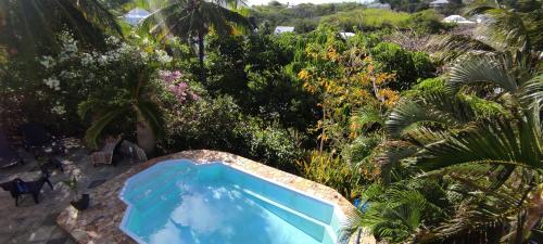 a swimming pool in a garden with trees and plants at bungalow tout confort avec piscine partagee à 5 mn de la mer in Saint-François