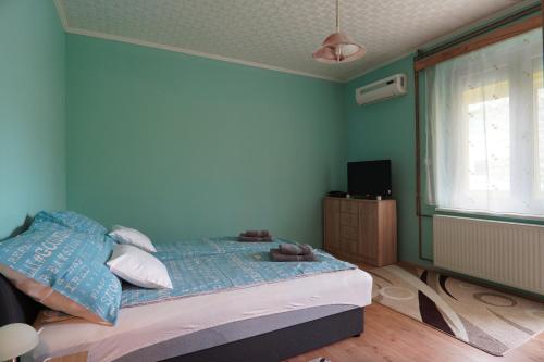 een slaapkamer met een bed met blauwe muren en een raam bij Dia Apartman Pécs in Pécs