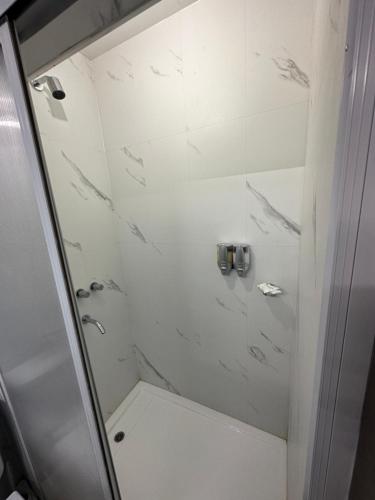 La salle de bains est pourvue d'une douche avec une porte en verre. dans l'établissement Greenboxaparts, à Firmat