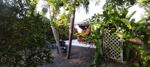 a garden with a white gate and some trees at bungalow tout confort avec piscine partagee à 5 mn de la mer in Saint-François