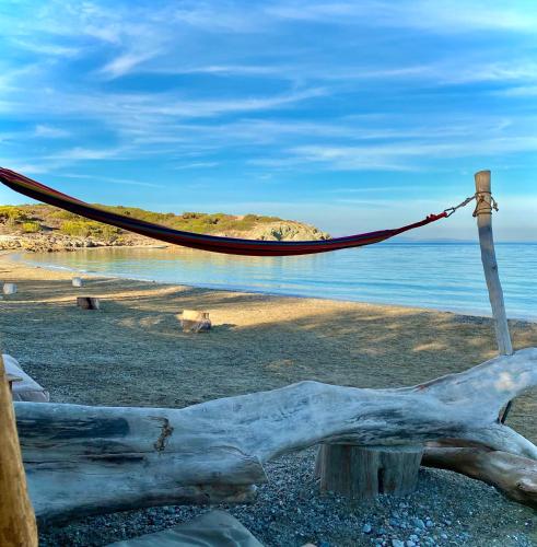 a hammock on a beach next to the water at Villa Naya by the Beach in Anavissos