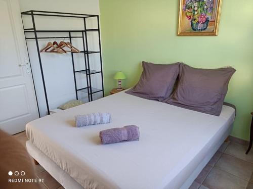 ein großes weißes Bett mit zwei Kissen darauf in der Unterkunft Anduze Gîte Les Pins au "Petit Clos des Cigales" in Massillargues-Attuech
