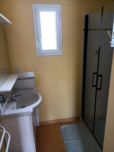 une salle de bain avec un lavabo et une douche dans l'établissement Anduze Gîte Les Pins au 