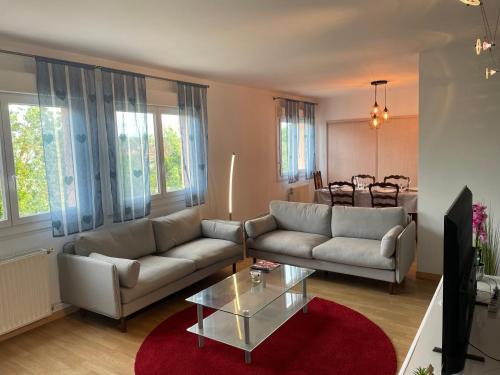 un salon avec deux canapés et une table basse dans l'établissement Entier Big Appartement, à Albi