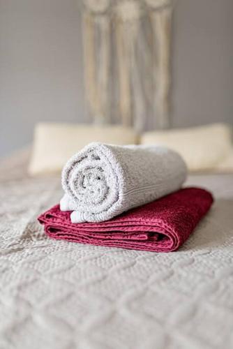 - une serviette assise au-dessus du lit dans l'établissement Le Grand Bellevue Hypercentre 3 chambres face à la Gare SNCF, à Saint-Étienne