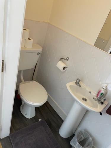 a bathroom with a toilet and a sink at Hillside House- Pine View in Ballinamuck