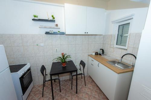 Kuchyň nebo kuchyňský kout v ubytování Studio Apartment Silva