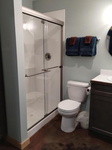 La salle de bains est pourvue de toilettes et d'une douche en verre. dans l'établissement Fireweed Cabin - Homer Seaplane Base, à Homer