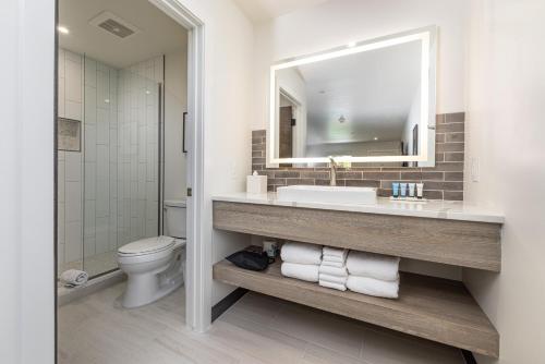 W łazience znajduje się umywalka, toaleta i lustro. w obiekcie Montclair Inn & Suites at Zion National Park w mieście Springdale