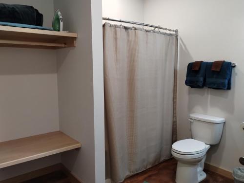 a bathroom with a toilet and a shower curtain at Grewingk Suite - Homer Seaplane Base in Homer
