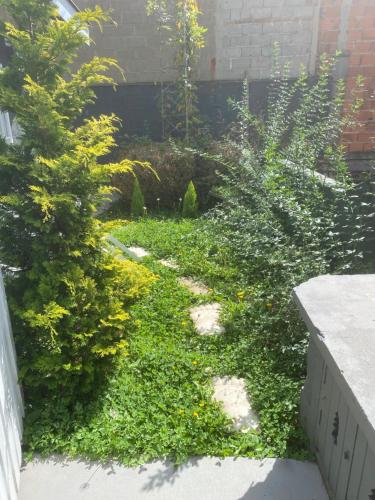 a garden with green plants and trees and a building at Apartamento aconchegante próximo Capivari in Campos do Jordão