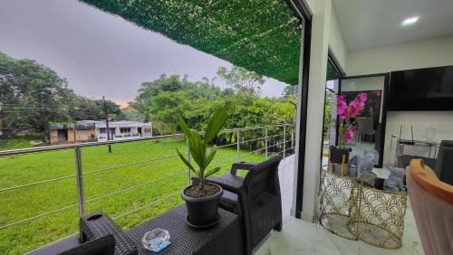 a room with a balcony with a plant on a table at Amazonia Deluxe Calle 13 in Leticia