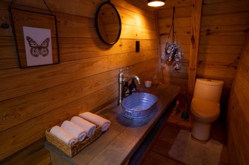 a bathroom with a sink in a log cabin at Cabañas Chalets Piedra Alta Zacatlan in Camotepec