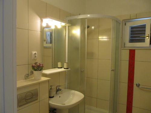 La salle de bains est pourvue d'une douche et d'un lavabo. dans l'établissement Apartments and rooms with a swimming pool Brist, Makarska - 15620, à Brist