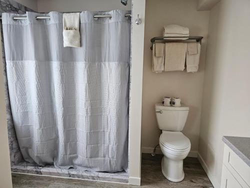 a bathroom with a shower curtain and a toilet at Lowell Inn in Stillwater