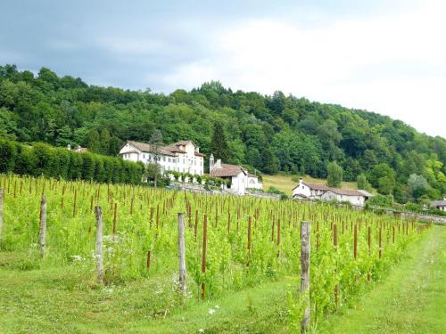 a vineyard with a house in the middle of a field at Apartment in Valbelluna with Pool & Dolomites View in Santa Giustina