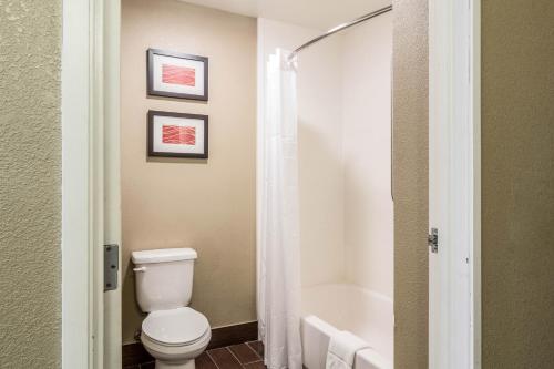 a bathroom with a toilet and a bath tub at Quality Inn & Suites Salem near I-57 in Salem