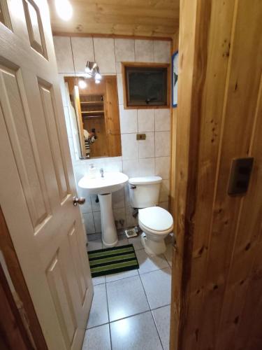 a bathroom with a toilet and a sink at Ruka Experience in Pucón
