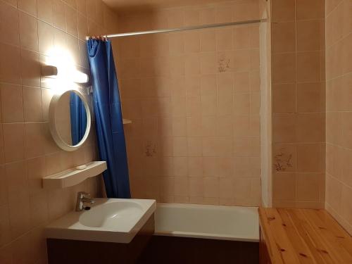 a bathroom with a sink and a shower with a mirror at Appartement Seignosse, 1 pièce, 4 personnes - FR-1-239-400 in Seignosse